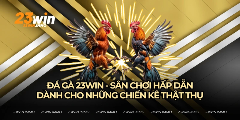 Đá gà 23WIN - Nơi thỏa niềm đam mê chọi gà của chiến kê châu Á