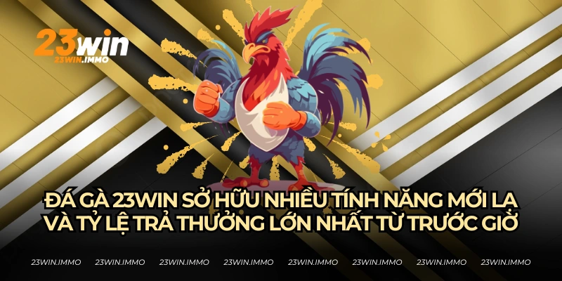 Ưu điểm vượt trội của sảnh đá gà 23WIN